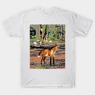 Werewolf in the Swamp T-Shirt